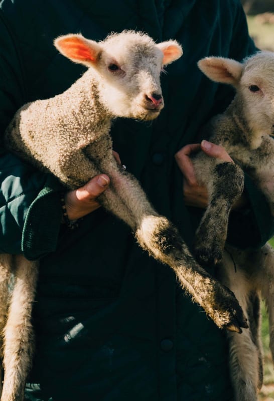 Goede relaties met de lokale bevolking