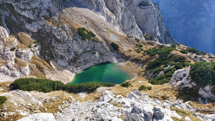 Kriški podi