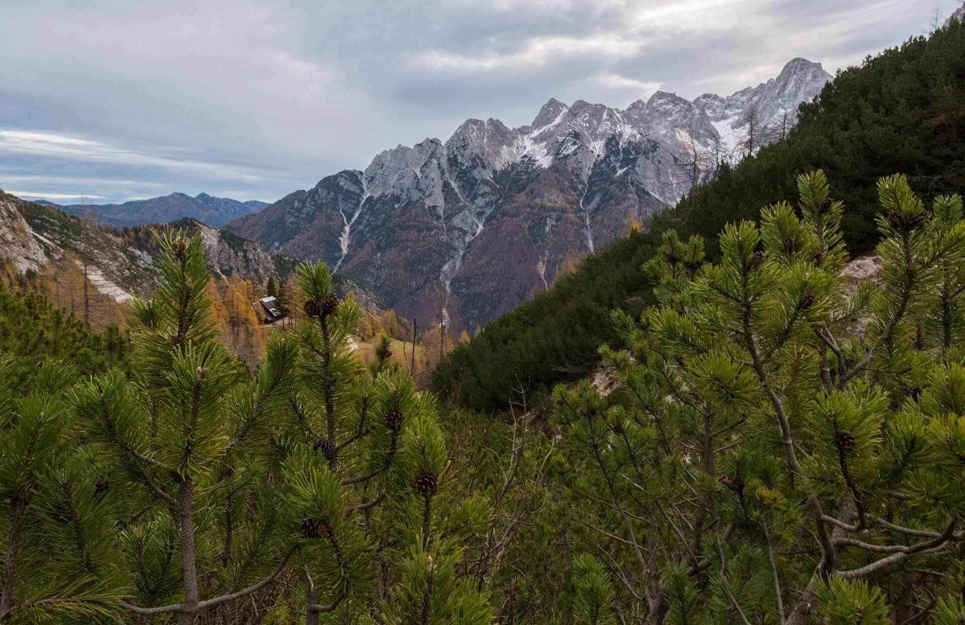 What Are the Chances of Being Struck by Lightning, and How to Stay Safe in the Mountains?