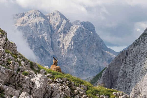 Onder de bergen 2026 kalender